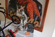 IMG-3272