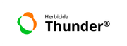Thunder