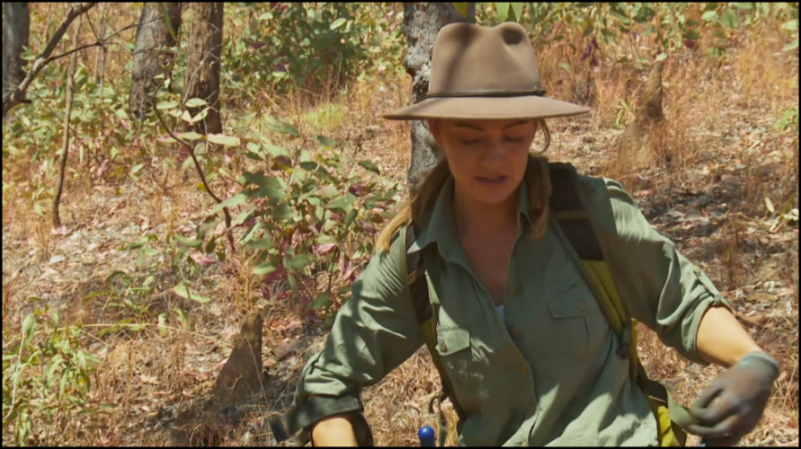 [Image: 1s8t1npd8cdq.png]