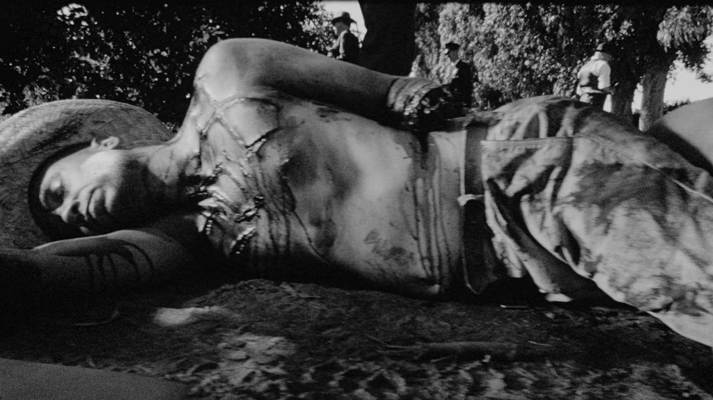 [Image: yq34l8efx6wf.png]