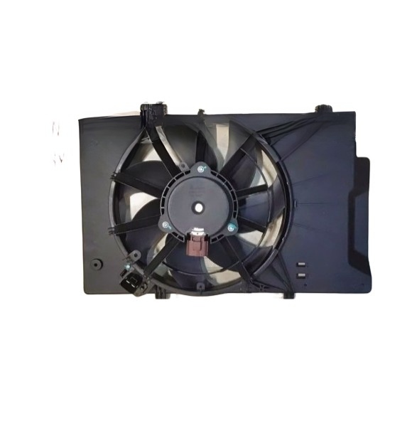 EECO SPORTS DSL