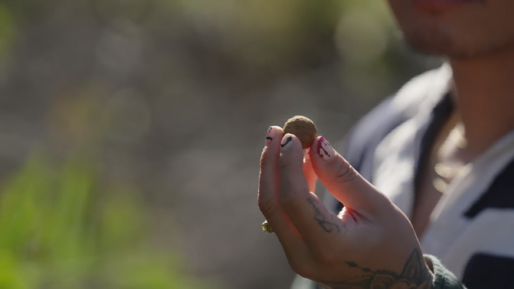 [Image: 6rm5g1spvsm3.png]