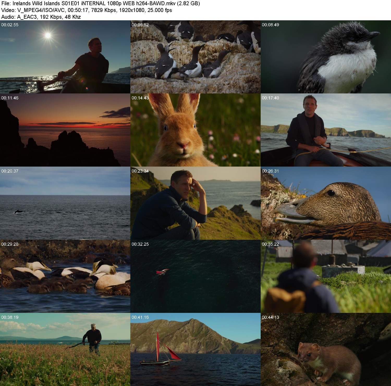 [Image: 6jyr7j4sls2k.jpg]