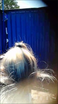 [Image: Voyeur38495135206.jpg]