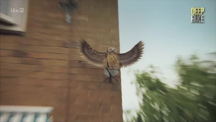 [Image: 44wxje05epmf.jpg]