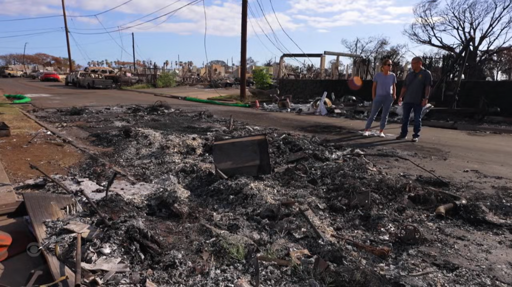 [Image: ee9omd85zwt5.png]