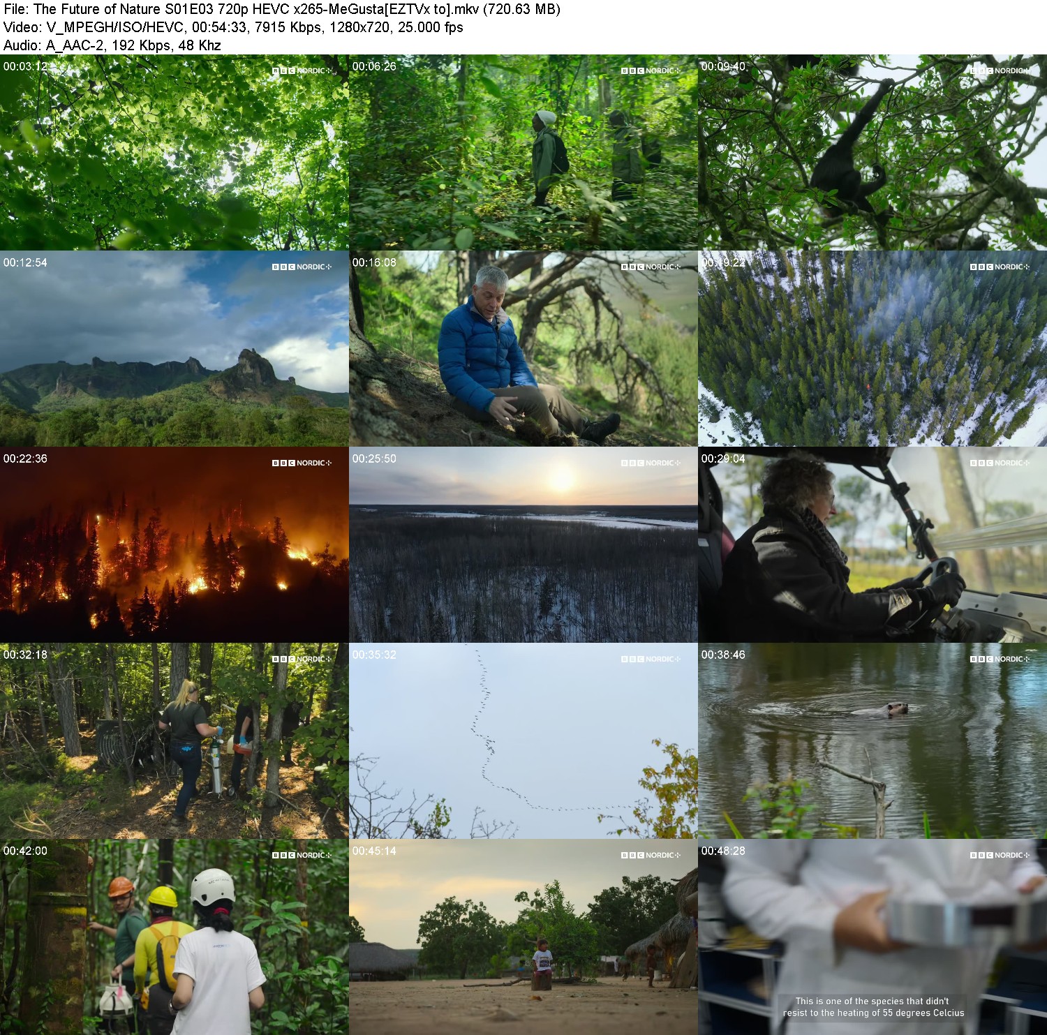 [Image: f7o67p0srzst.jpg]