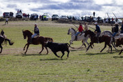 IMG-0012