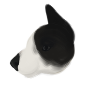 Untitled128_20210128174934