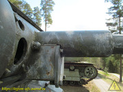 IMG-7006