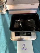 Afbeelding van WhatsApp op 2024-06-24 om 20.37.30_35579e1a