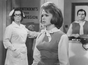 joey-heatherton-b62