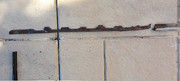 20260524-094810.jpg