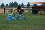 DSC-9338