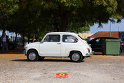 IMG-2990