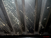 DSC02050.jpg