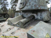 IMG-6356