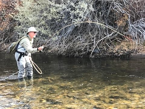 IMG_20181103_095044_483