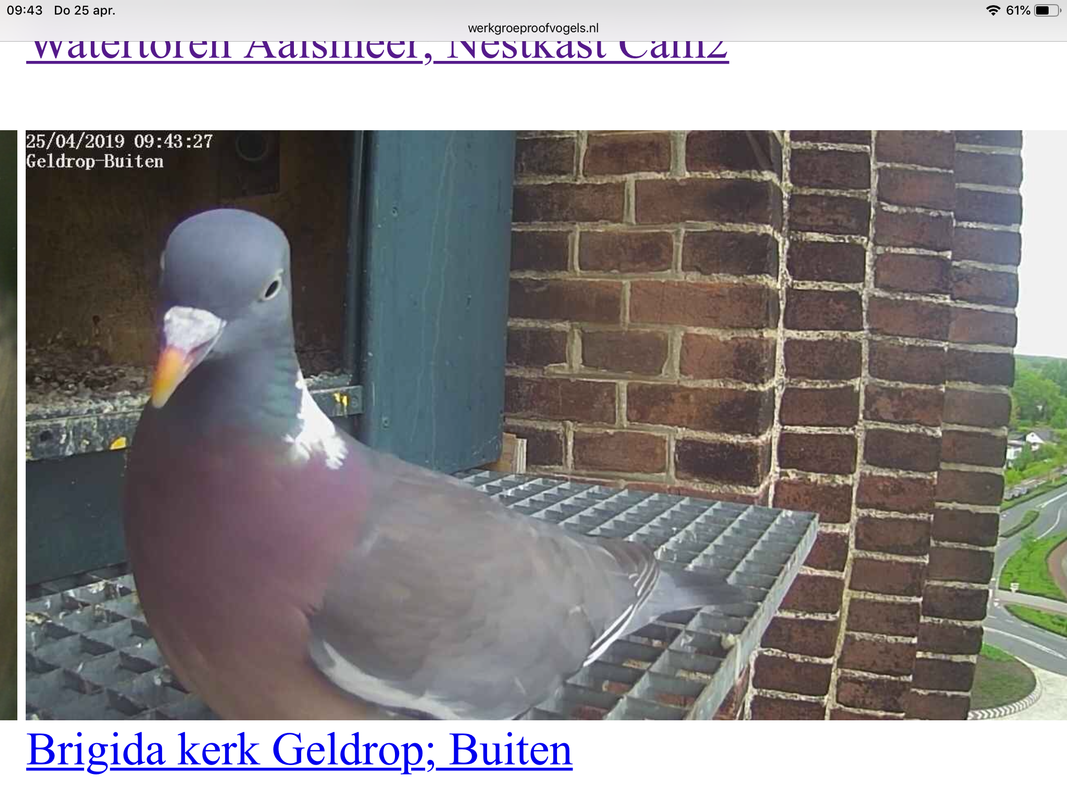 25DC8E09-E138-4BD7-A56C-6A8953EB0EEF