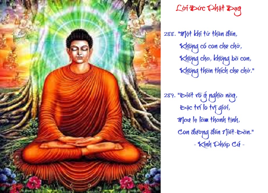 [Image: VERSE288289.jpg]