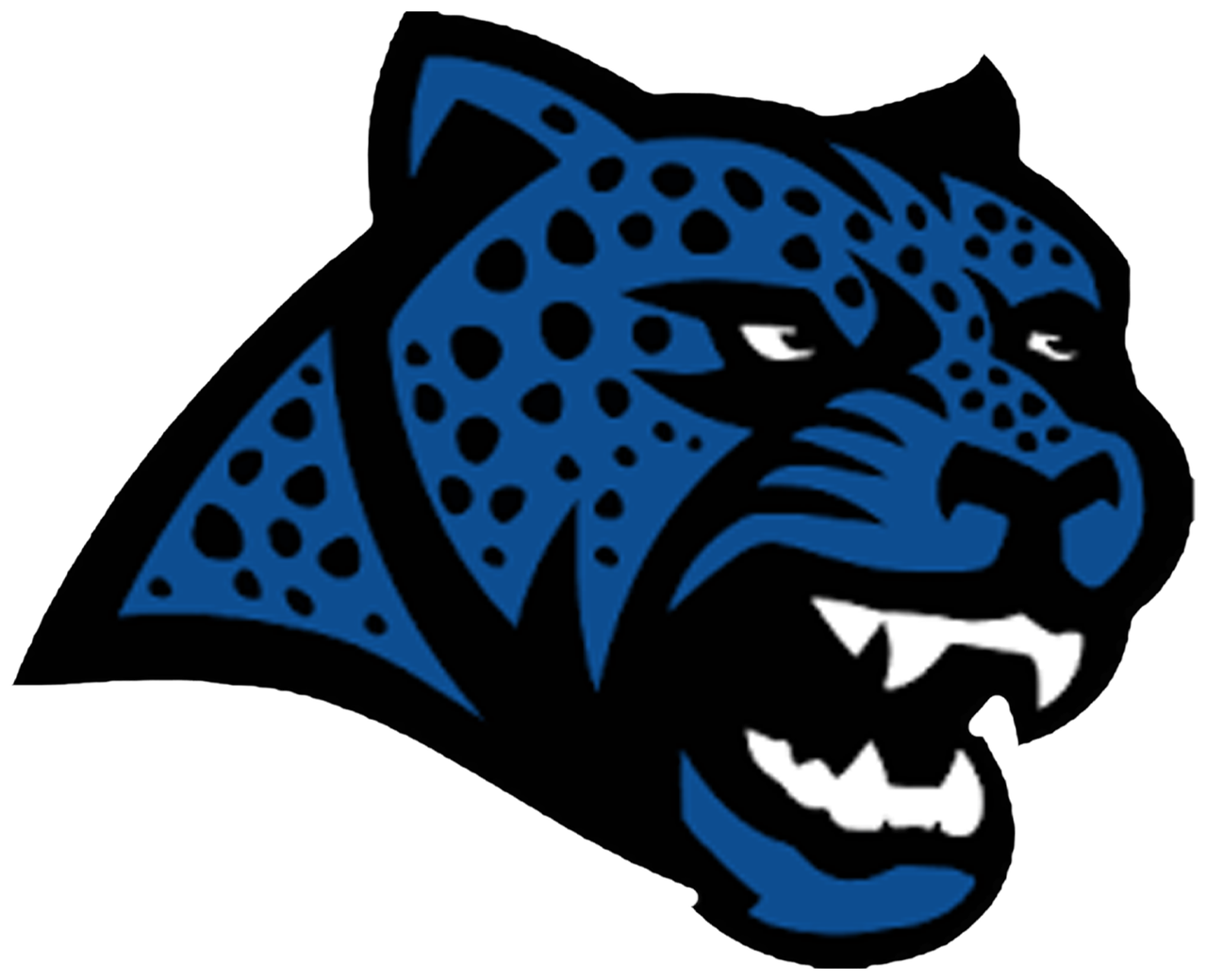 Canyon View Logo