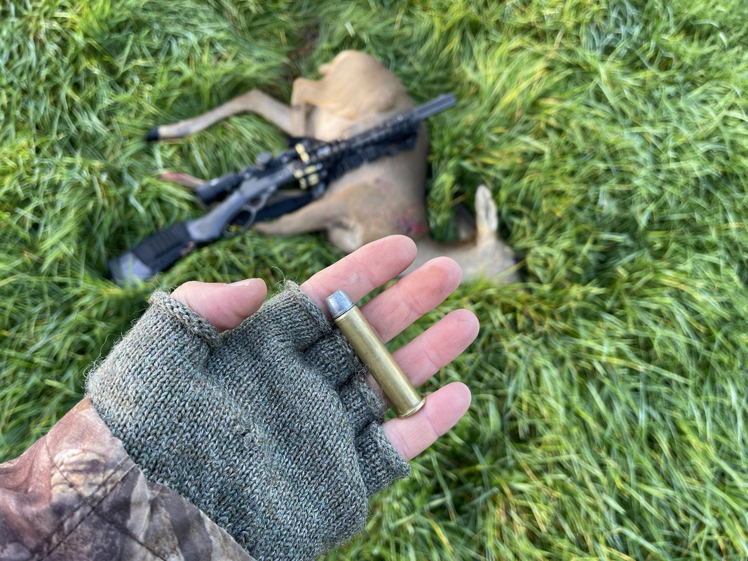 BCF73EAE-3BF9-490E-B9F5-814338477F72