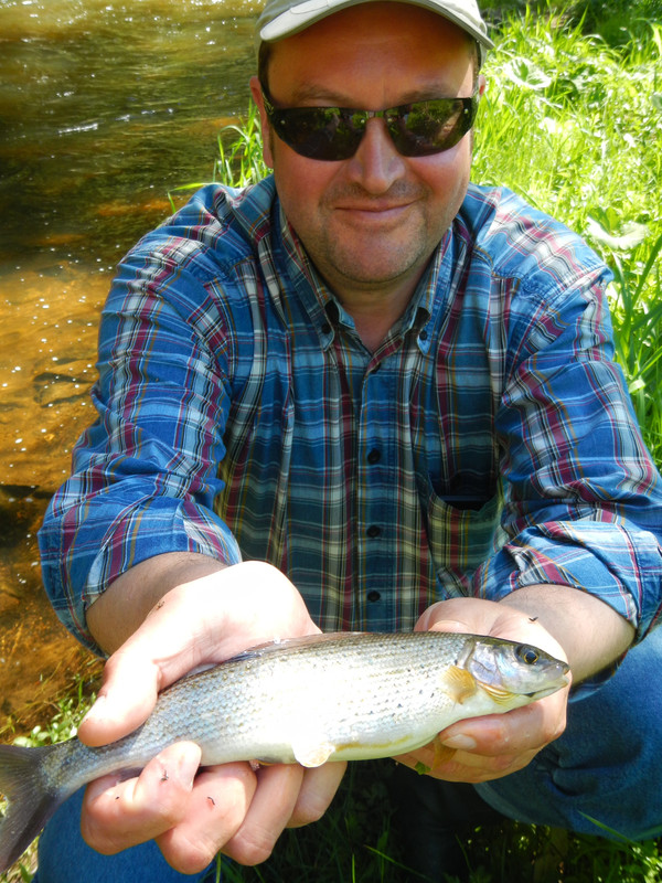 Копировать DSCN4167