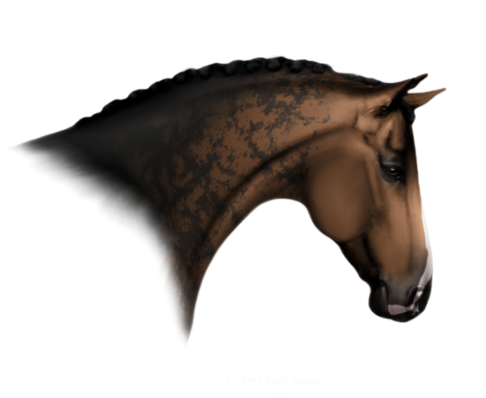 Untitled213_Restored4_20250113222719