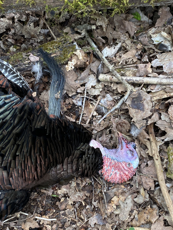 D7913A53-7B0A-4CC3-BD8C-838582DDABD1