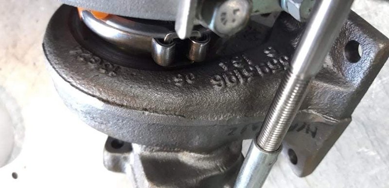 117950272-735618483899540-43411480676297