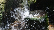 DSC00132