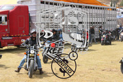 IMG-2484