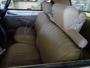 DSC08246.jpg