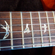 IMG_20150602_095450_zpsg5goixpk