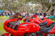 Ducati-perth-12