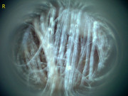 23207 177214 Into CNS 000007