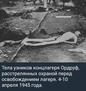 https://i.postimg.cc/V5ghywt3/photo-2026-09-10-02-38-11.jpg