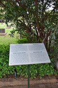DSC-0027