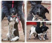 Be-Funky-collage-18.jpg&key=3b8db8671902