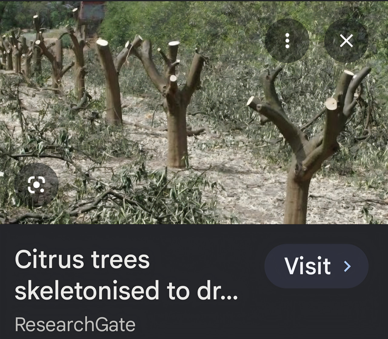 Screenshot 20260513 224506 Google
