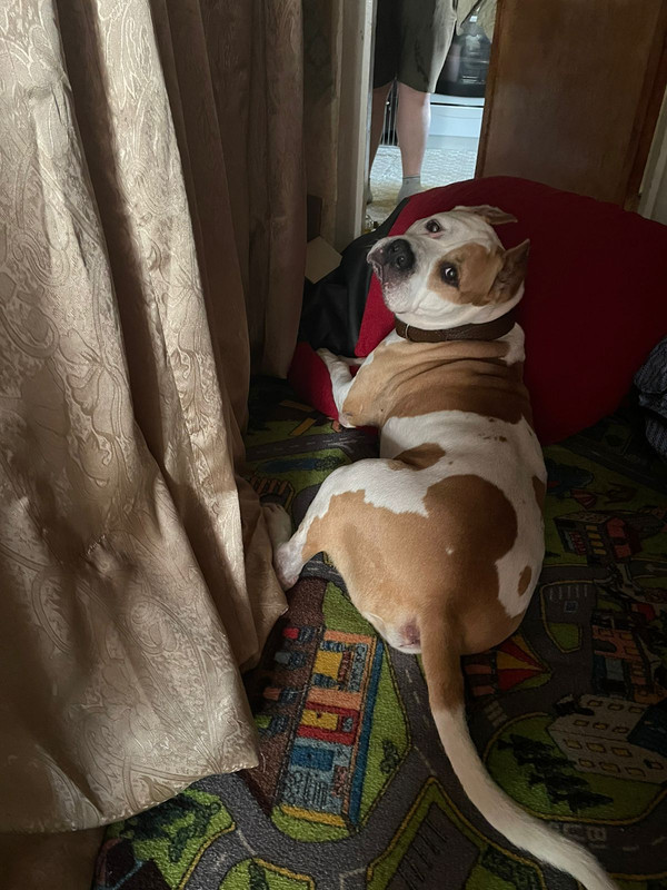 1CA33807-C8D2-49B9-AEB2-60215766C6FD