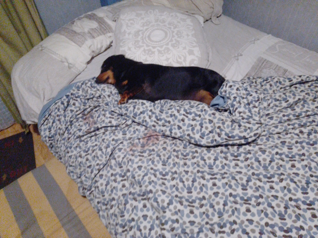 [Image: IMG-20231019-002703.jpg]