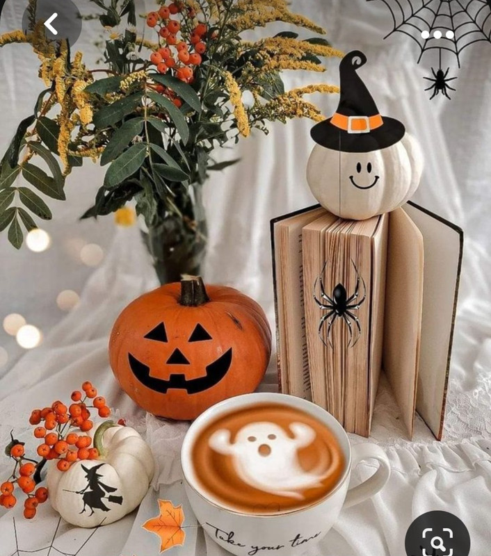 Screenshot_20231031_173815_Pinterest