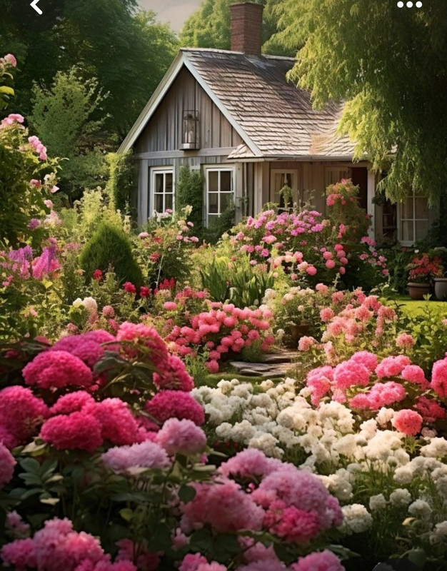 Screenshot_20240509_202046_Pinterest