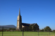 DSC-0052
