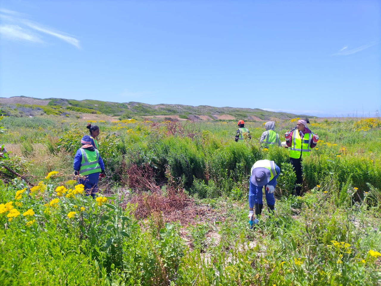 Wetland restoration field team
