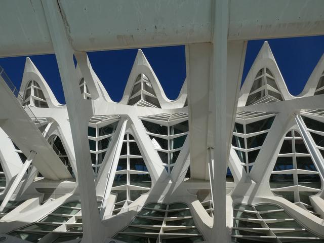 VALENCIA en un fin de semana - Blogs of Spain - Sábado 30/12: Llegada a Valencia y visita al Oceanogràfic (5)
