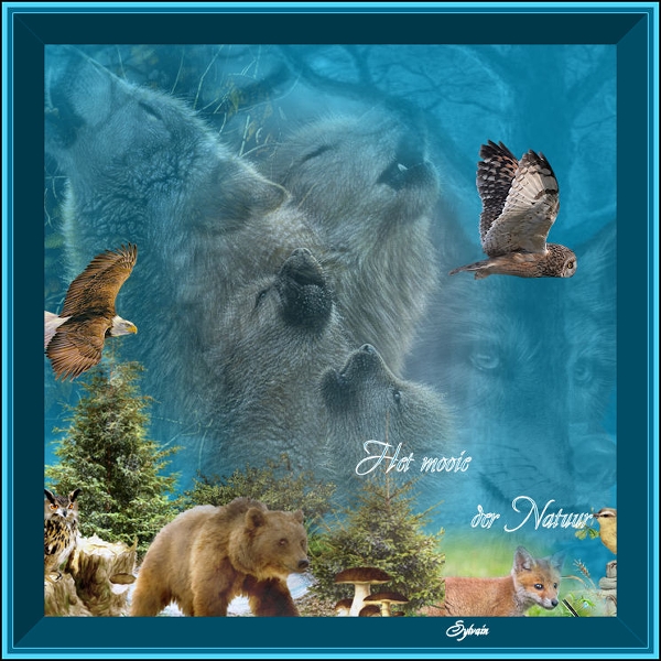 m-HET-MOOIE-DER-NATUUR