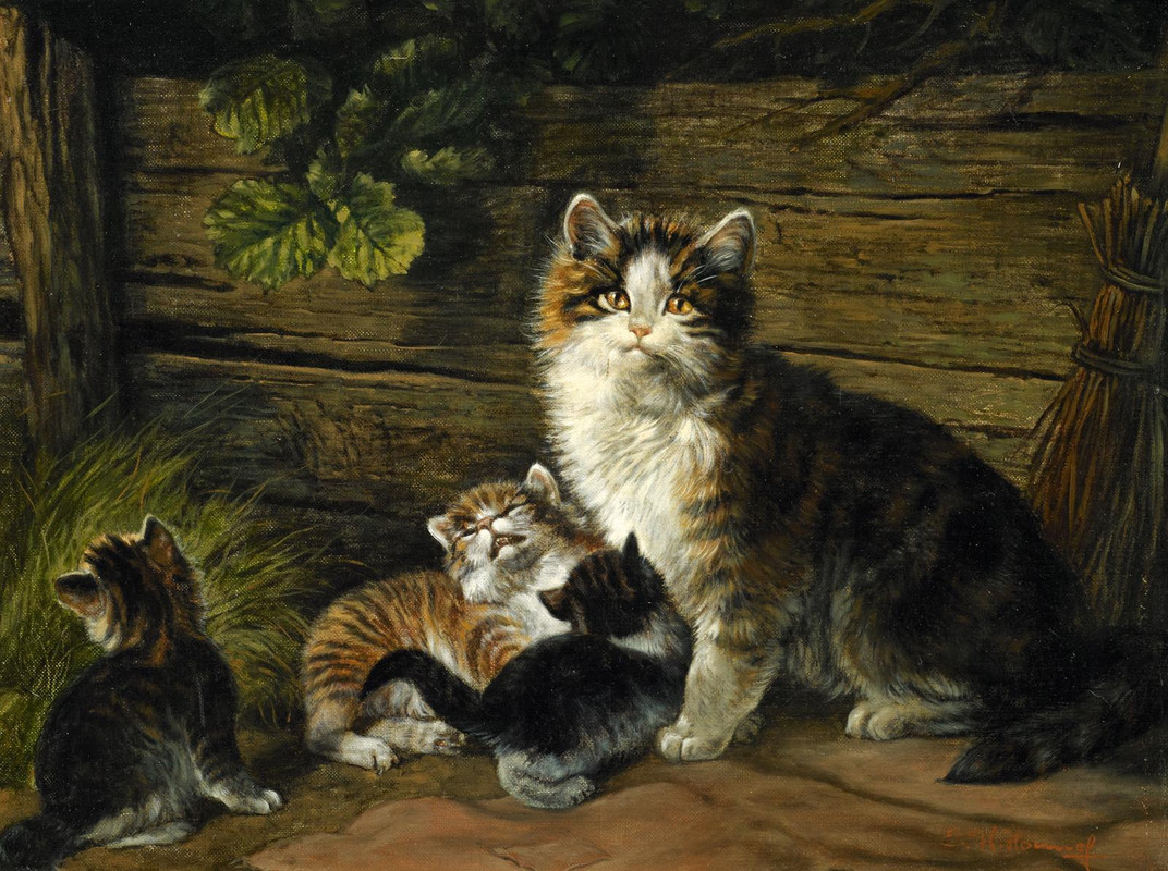 Katzenfamilie-12