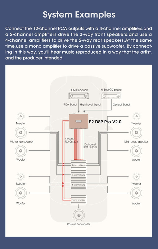 p2 dsp pro v2 system EXAMPLE